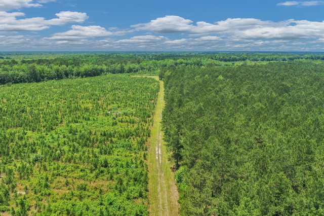 5120 N Brewington Rd, Manning, SC 29102