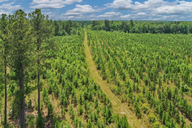 5120 N Brewington Rd, Manning, SC 29102