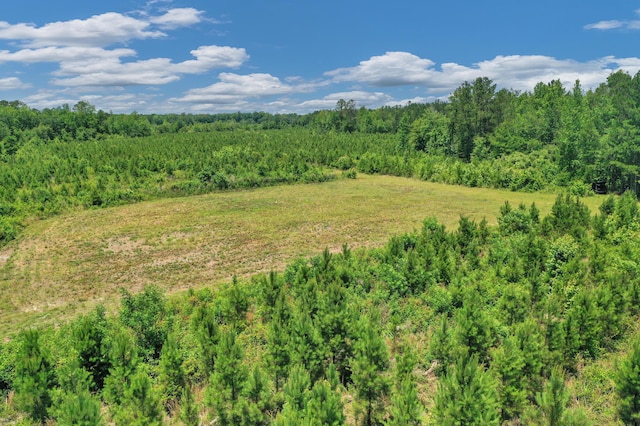 5120 N Brewington Rd, Manning, SC 29102