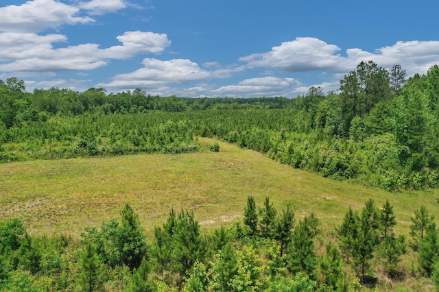 5120 N Brewington Rd, Manning, SC 29102