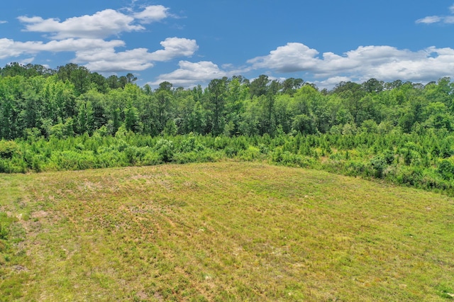 5120 N Brewington Rd, Manning, SC 29102