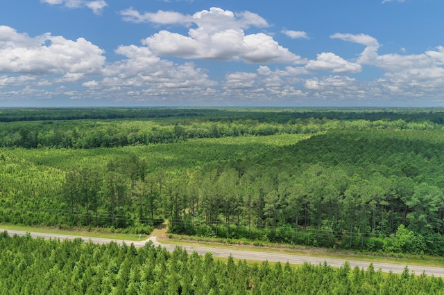 5120 N Brewington Rd, Manning, SC 29102