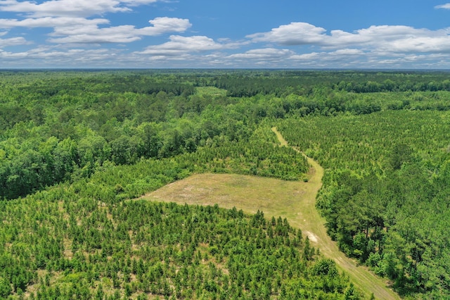 5120 N Brewington Rd, Manning, SC 29102