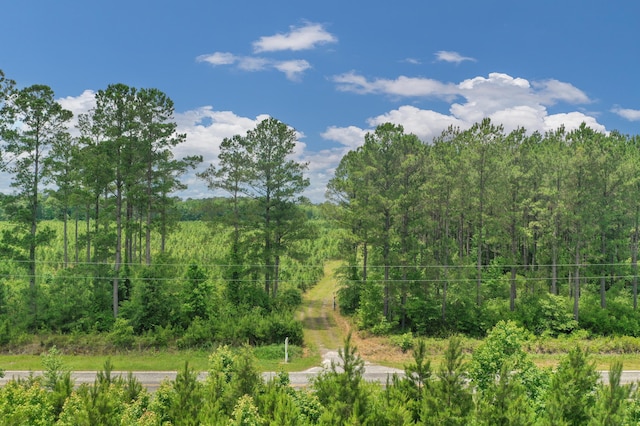 5120 N Brewington Rd, Manning, SC 29102