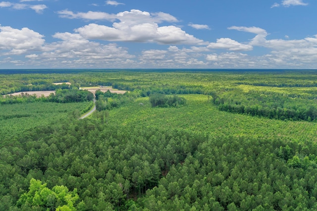 5120 N Brewington Rd, Manning, SC 29102