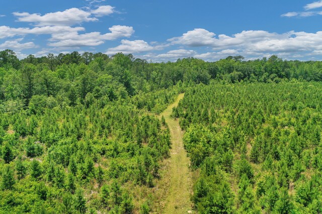 5120 N Brewington Rd, Manning, SC 29102