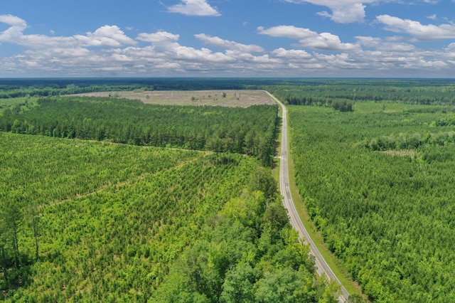 5120 N Brewington Rd, Manning, SC 29102