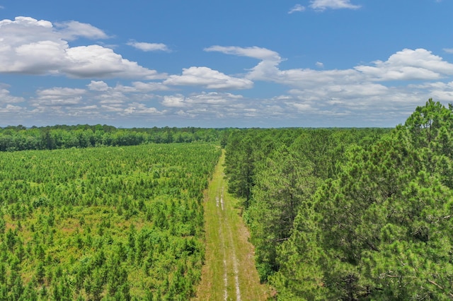 5120 N Brewington Rd, Manning, SC 29102