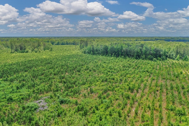 5120 N Brewington Rd, Manning, SC 29102