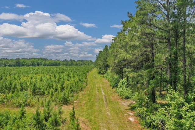 5120 N Brewington Rd, Manning, SC 29102