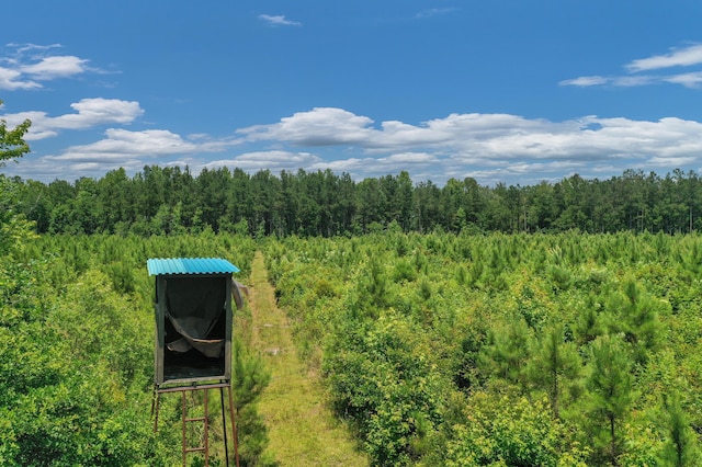 5120 N Brewington Rd, Manning, SC 29102