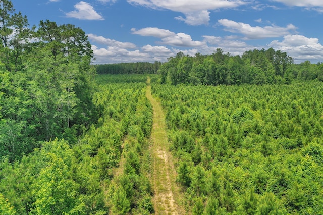 5120 N Brewington Rd, Manning, SC 29102