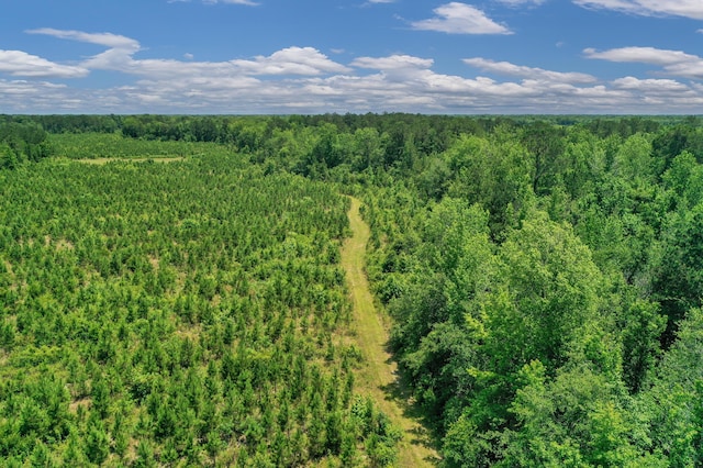5120 N Brewington Rd, Manning, SC 29102