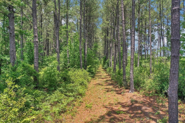 5120 N Brewington Rd, Manning, SC 29102