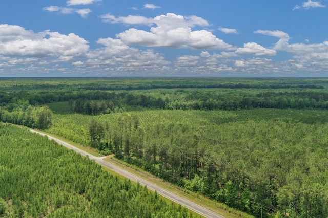 5120 N Brewington Rd, Manning, SC 29102