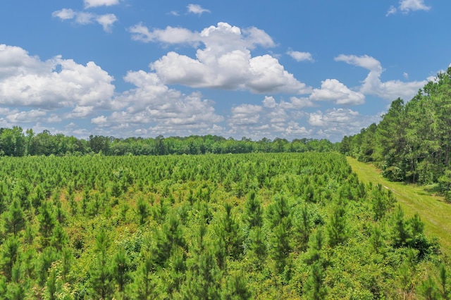 5120 N Brewington Rd, Manning, SC 29102