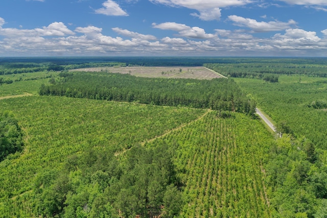 5120 N Brewington Rd, Manning, SC 29102