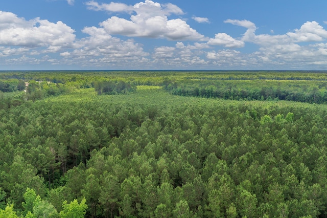 5120 N Brewington Rd, Manning, SC 29102