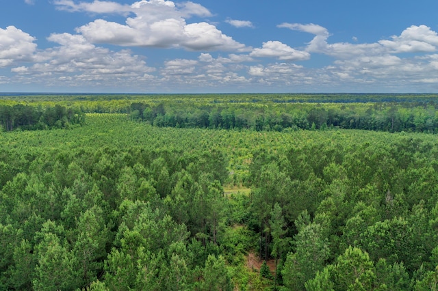 5120 N Brewington Rd, Manning, SC 29102