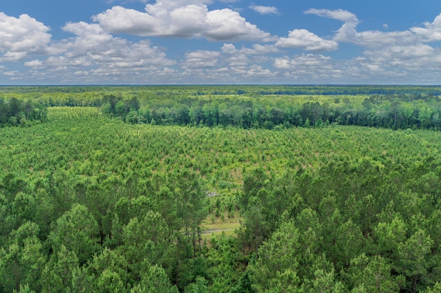 5120 N Brewington Rd, Manning, SC 29102