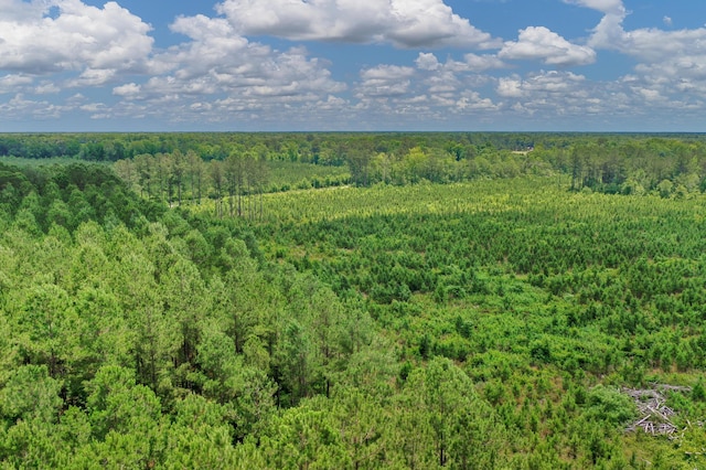 5120 N Brewington Rd, Manning, SC 29102