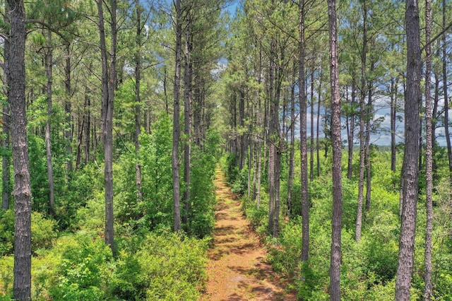 5120 N Brewington Rd, Manning, SC 29102