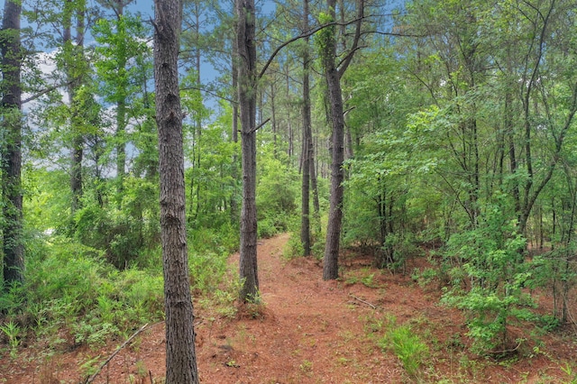 5120 N Brewington Rd, Manning, SC 29102