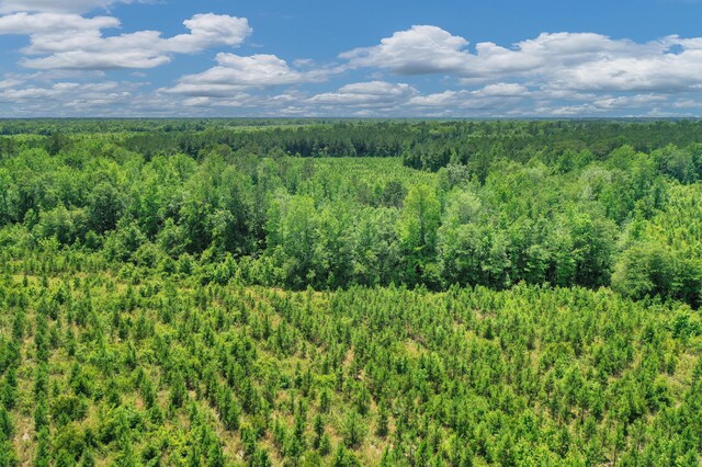 5120 N Brewington Rd, Manning, SC 29102