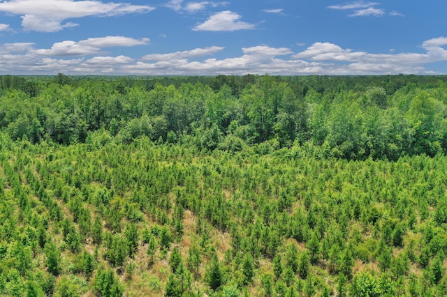 5120 N Brewington Rd, Manning, SC 29102