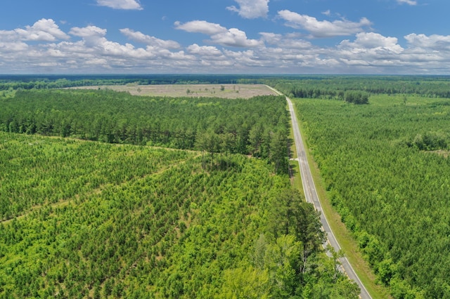 5120 N Brewington Rd, Manning, SC 29102