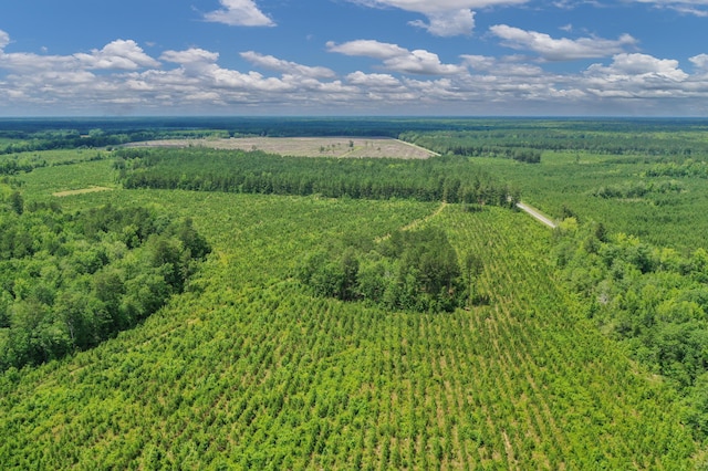 5120 N Brewington Rd, Manning, SC 29102