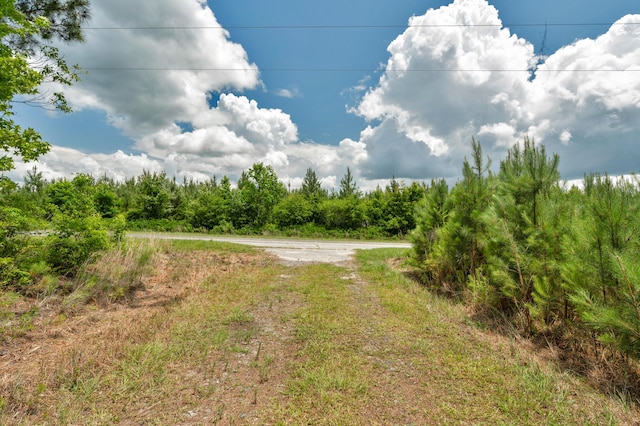 5120 N Brewington Rd, Manning, SC 29102