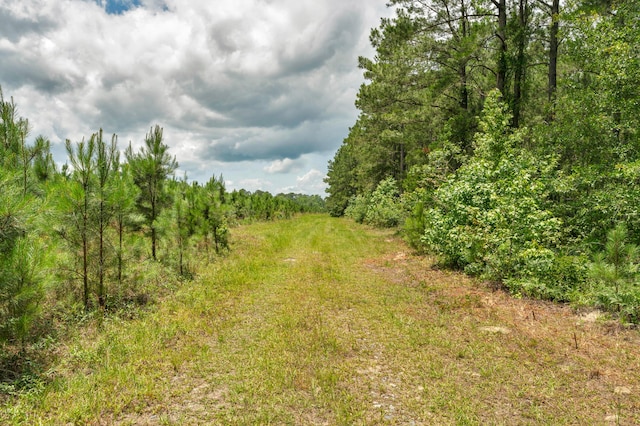 5120 N Brewington Rd, Manning, SC 29102