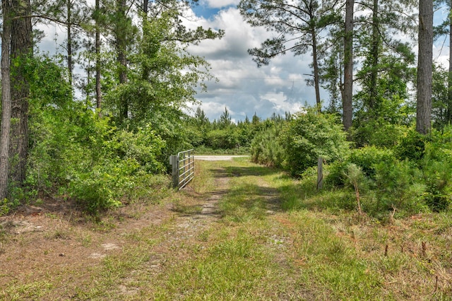 5120 N Brewington Rd, Manning, SC 29102