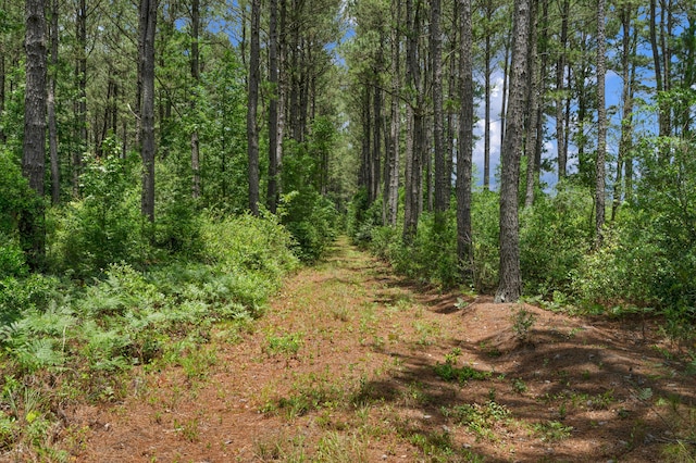 5120 N Brewington Rd, Manning, SC 29102