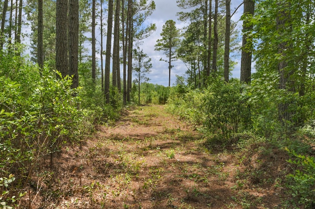 5120 N Brewington Rd, Manning, SC 29102