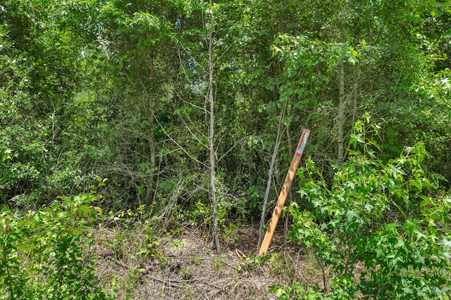 5120 N Brewington Rd, Manning, SC 29102