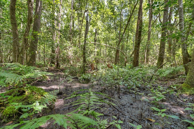 5120 N Brewington Rd, Manning, SC 29102