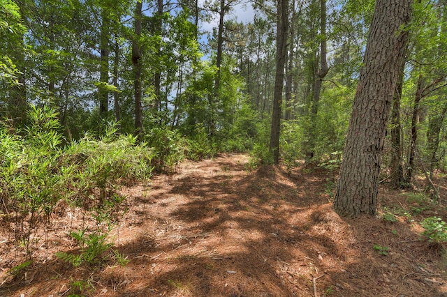 5120 N Brewington Rd, Manning, SC 29102