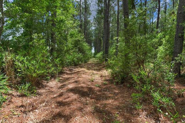 5120 N Brewington Rd, Manning, SC 29102