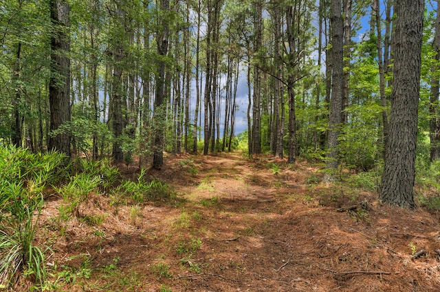 5120 N Brewington Rd, Manning, SC 29102