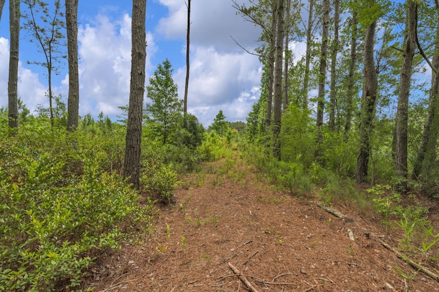 5120 N Brewington Rd, Manning, SC 29102