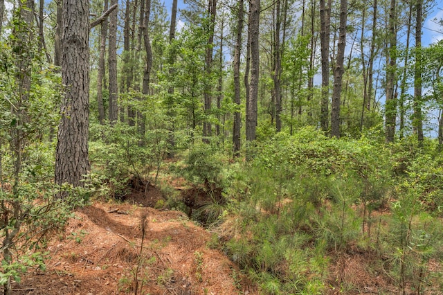 5120 N Brewington Rd, Manning, SC 29102