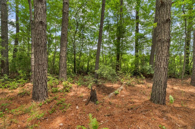 5120 N Brewington Rd, Manning, SC 29102