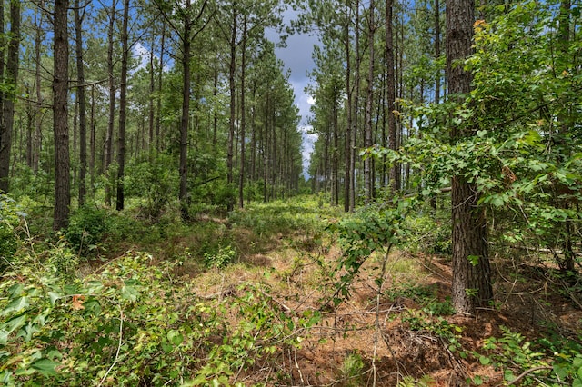 5120 N Brewington Rd, Manning, SC 29102