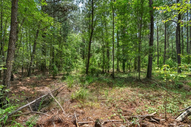 5120 N Brewington Rd, Manning, SC 29102