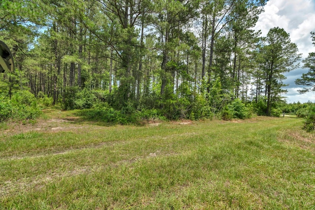 5120 N Brewington Rd, Manning, SC 29102