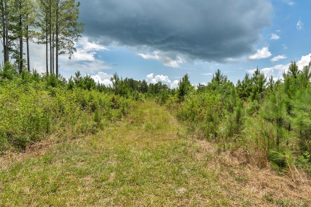 5120 N Brewington Rd, Manning, SC 29102