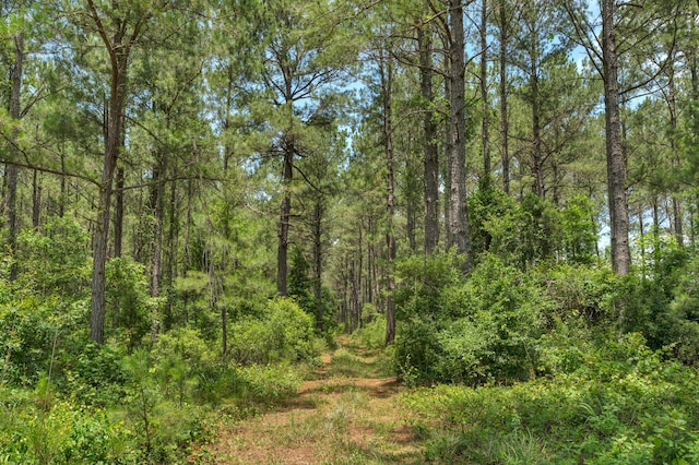 5120 N Brewington Rd, Manning, SC 29102