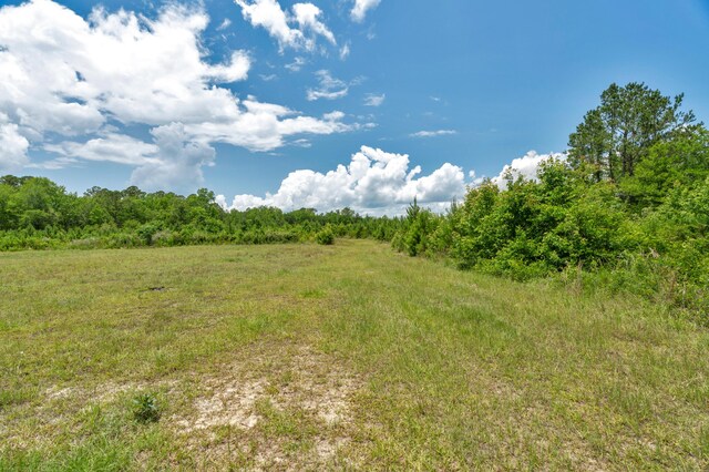 5120 N Brewington Rd, Manning, SC 29102